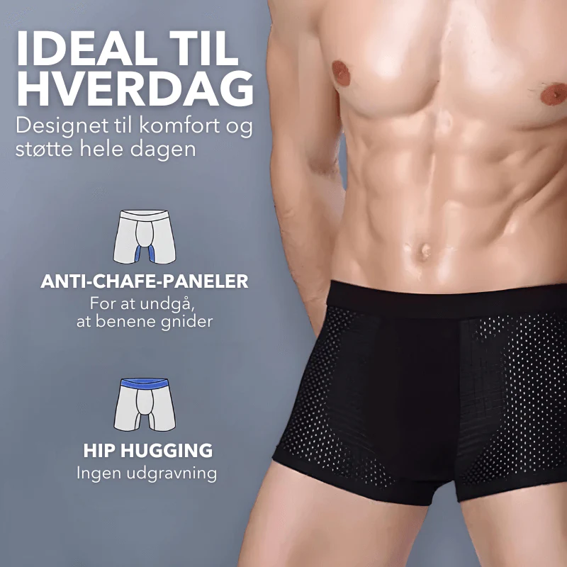 Miniaturebillede 2